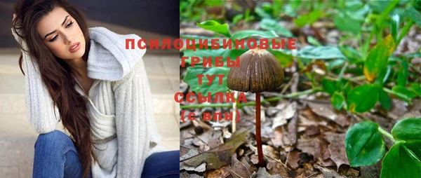 jwh Володарск