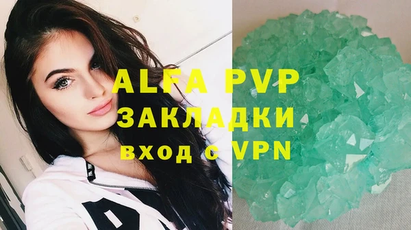 спиды Волоколамск