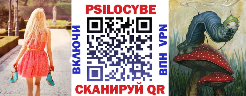 Псилоцибиновые грибы Psilocybine cubensis  Катайск 