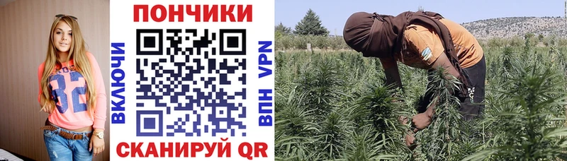 Бошки Шишки марихуана  Катайск 